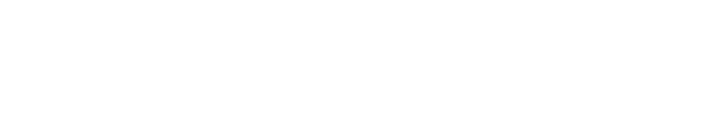 LGI CONNECT logo - sage partenaire business