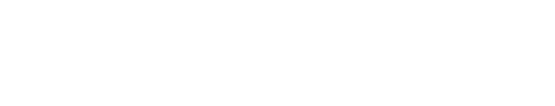 LGI CONNECT logo - sage partenaire business